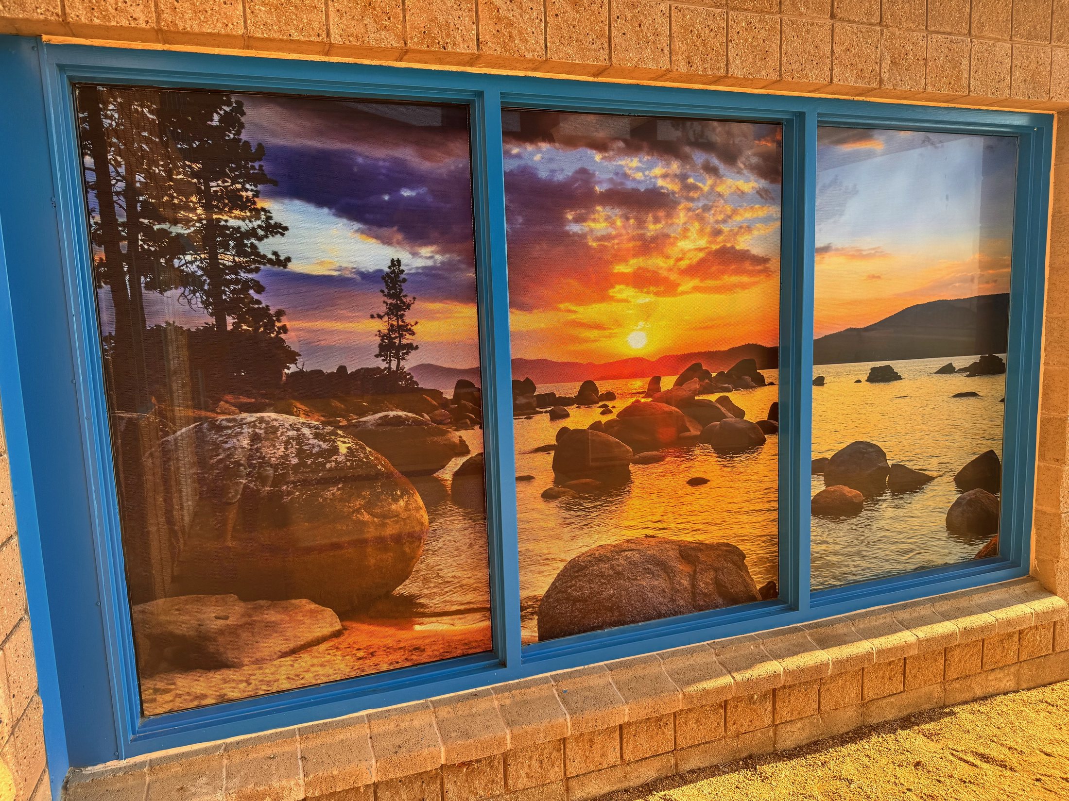 perforated window graphics project by Project X Graphics
